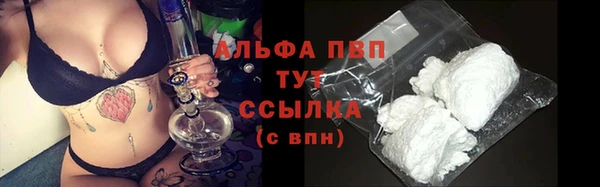 ГАЛЛЮЦИНОГЕННЫЕ ГРИБЫ Сосновка