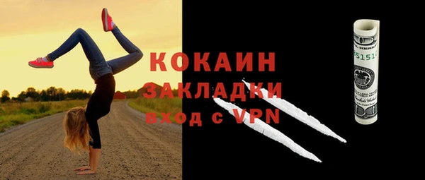 дживик Сосновый Бор